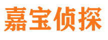 浈江市私家侦探